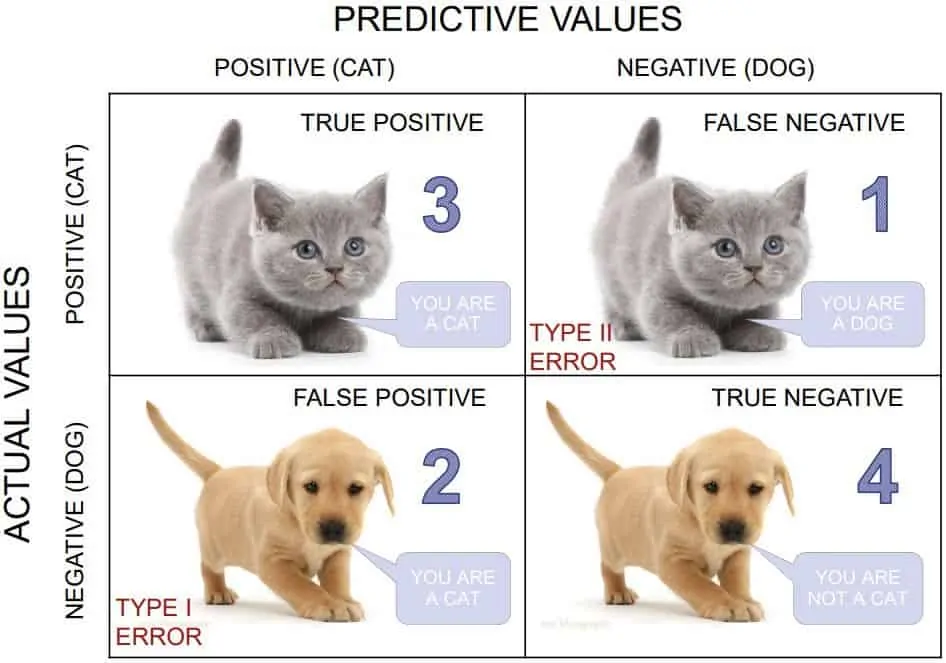 cat-dog-confuion-matrix.webp