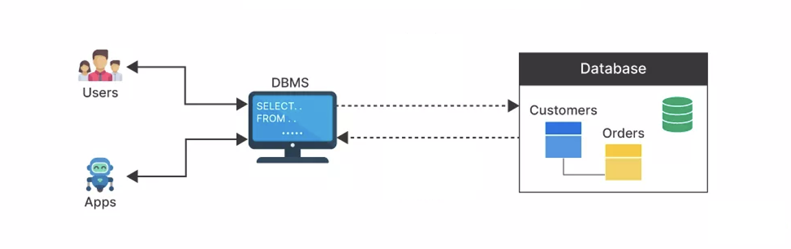 sql-dbms